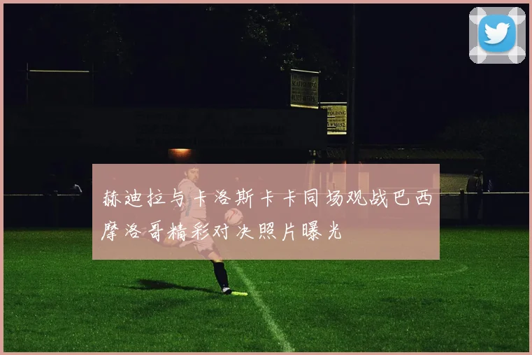 赫迪拉与卡洛斯卡卡同场观战巴西摩洛哥精彩对决照片曝光