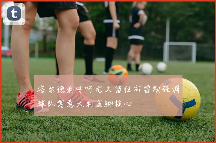 塔尔德利呼吁尤文留住布雷默强调球队需意大利国脚核心